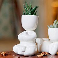 набор для выращивания eco йог в Челябинске
