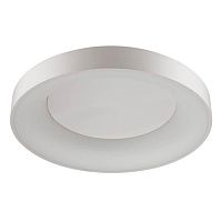 потолочный светодиодный светильник odeon light sole 4062/80cl в Челябинске