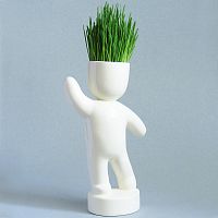 набор для выращивания eco победитель в Челябинске
