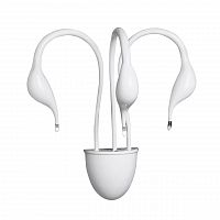 бра lightstar cigno collo wt 751636 в Челябинске