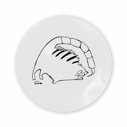 тарелка кот-скорпион в Челябинске