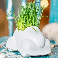 набор для выращивания eco машина в Челябинске