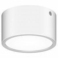 уличный светодиодный светильник lightstar zolla 380163 в Челябинске