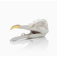 шкатулка для украшений bird skull (белый) в Челябинске