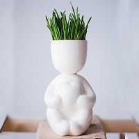 набор для выращивания eco романтик в Челябинске
