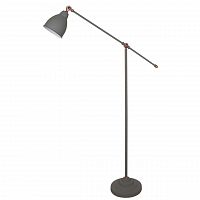 торшер arte lamp braccio a2054pn-1gy в Челябинске