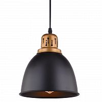 подвесной светильник arte lamp eurica a4245sp-1bk в Челябинске