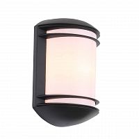 уличный настенный светильник st luce agio sl076.401.01 в Челябинске