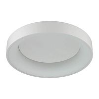 потолочный светодиодный светильник odeon light sole 4062/50cl в Челябинске